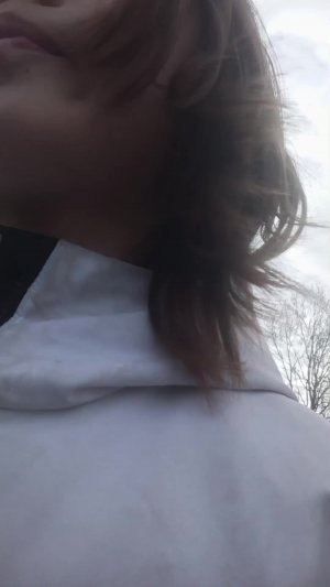 тигры