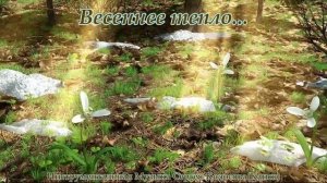 Весеннее тепло... 2(Музыка Сергея Колосова)