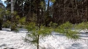 Придя_За_Дочкой_В_Садик_Матвей3