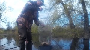 Весенняя рыбалка до нерестового запрета.