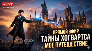 Hogwarts Legacy _ Я в Хогвартсе! Где моя сова с письмом за 2007 год? Прохождение 1