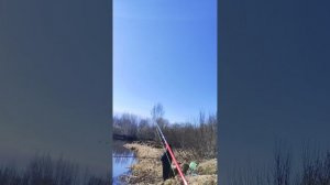 Моя первая рыбалка на отводной поводок 1 мая 2026г.