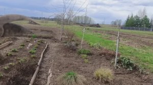 1ч. 28.04.2026/ огородные работы