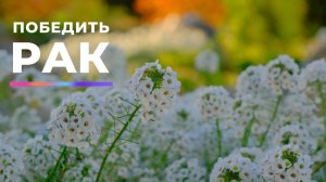 Исцелиться от рака. Уменьшить боль | Саблиминал
