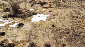 26 апреля. Тёплое воскресное утро
