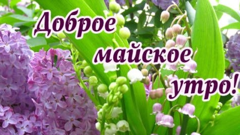 С добрым майским утром. Шикарная музыкальная открытка.