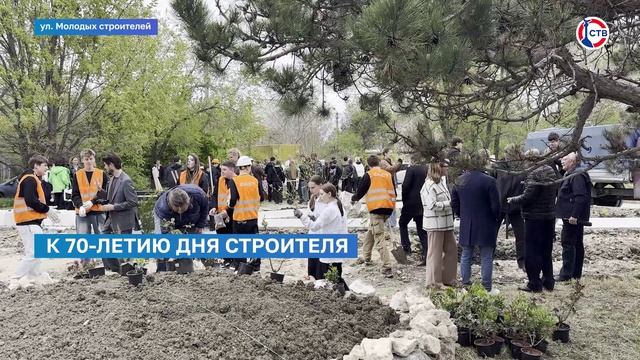 В Севастополе высадили более 150 деревьев