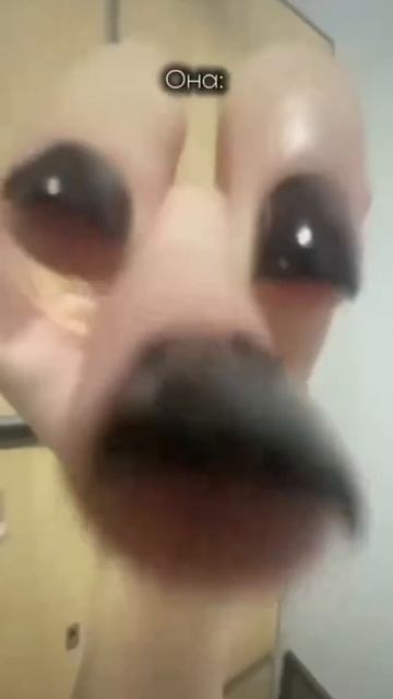 Юмор