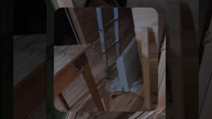 1000057393.mp4 (Собака наблюдает за устройством лестницы на 2-ой этаж в доме А-фрейм)