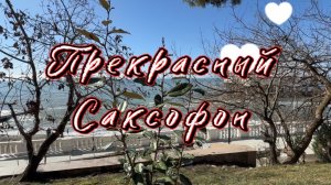 Прекрасный саксофон, удивительно красивая музыка для души