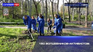 150 волшебников-активистов!