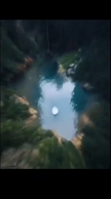 Видео от Департамент Кринжовых Видосов | ДКВ