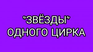 РЫГУН против ДОМОСЕРА! Кто кого?