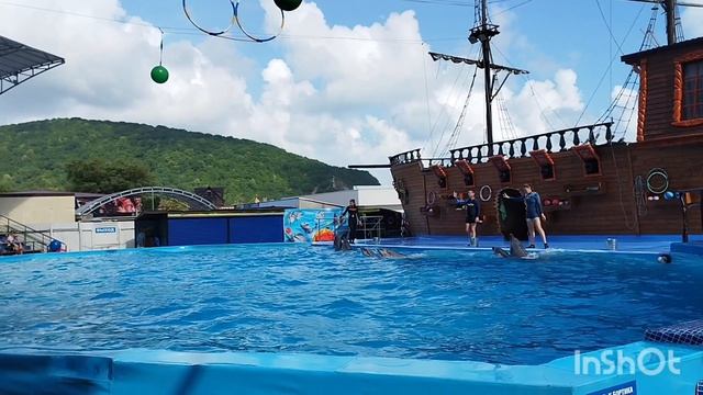Дельфины🐬Представление в дельфинарии