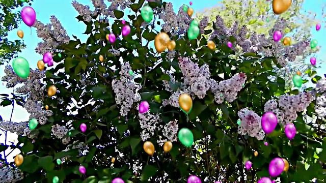 С 1 МАЯ!!! Музыкальное поздравление Цветы сирени 1 от Киностудии Мудрого Кота Тимофея!