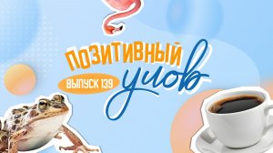 Прозрачная курица и сырный кофе. «Позитивный улов»