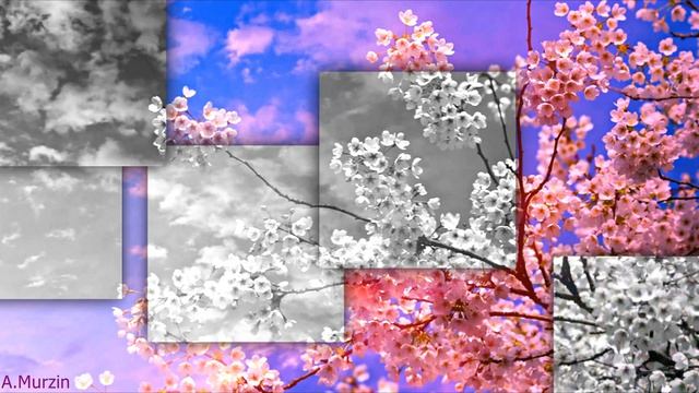 Yakuro - Age Of Love I