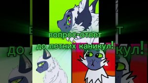 Вопрос-ответ