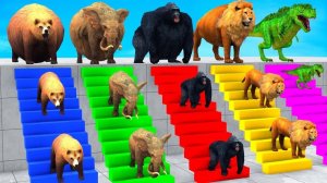 Длинная 3D горка: игра с коровой, слоном, гориллой, бегемотом, тигром. Забавные животные