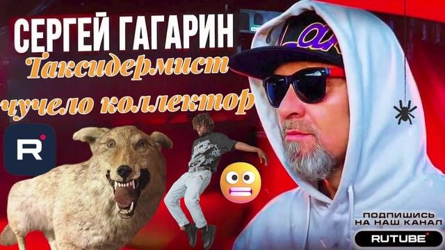 ТАКСИДЕРМИСТ ЧУЧЕЛО К0ЛЛЕКТОР. ГАГАРИН #гагарин #мфо #юмор