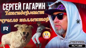 ТАКСИДЕРМИСТ ЧУЧЕЛО К0ЛЛЕКТОР. ГАГАРИН #гагарин #мфо #юмор