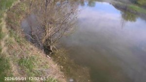 Немного сьездил не далеко от дома на речку, клёв вялый, но все таки половил маленько разнорыбицы.
