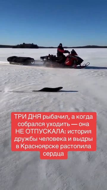 Она не хотела нас отпускать