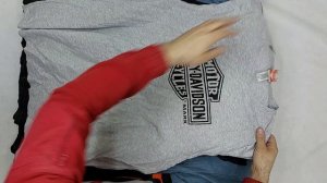 43101 ПРОДАН Футболки Harley Davidson сток, 10пак, Harley Davidson T-shirtsоптом