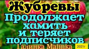 Жубревы Life Vlog _Обзор Влогов _Отписываются подписчики из-за хамского поведения __