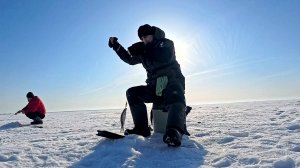Закрытие Зимней Рыбалки 2026. Бершиное Место! Волга.