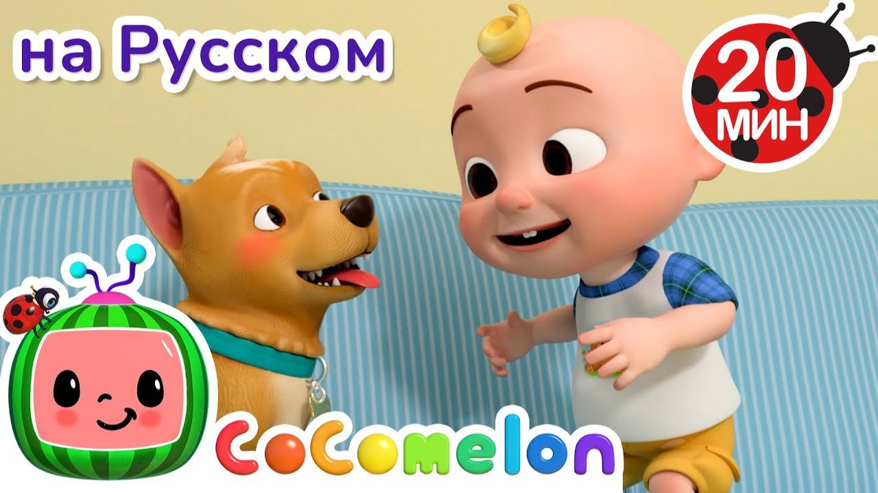 Собачья охота🐶🎶 # CoComelon на русском — Детские песенки