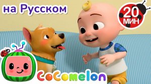 Собачья охота🐶🎶 # CoComelon на русском — Детские песенки