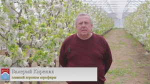 Интервью для канала Донецк сегодня