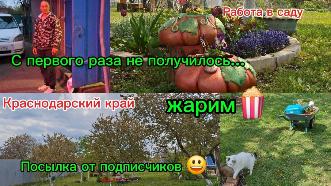 01-05-2026// Краснодарский край/ Юг/сад/Посылка от подписчиков/Не получилось с первого раза//