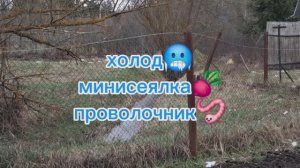 Холод, минисеялка, проволочник. Сезон 2026