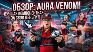 AURA VENOM CL6C ОБЗОР, ТЕСТ, МНЕНИЕ, ПРОСЛУШКА, СРАВНЕНИЕ С AURA STORM. ЛУЧШАЯ КОМПОНЕНТНАЯ АКУСТИКА