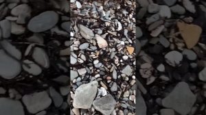 Мазут в Новомихайловском
Курортный сезон сорван опять