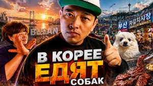 В Кореи едят собак. Поезд в Пусан