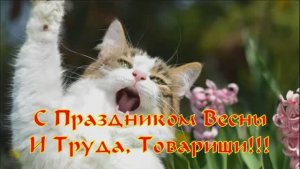 Поздравление с 1 мая с днём весны и труда. Лучшее поздравление!!!