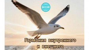 Медитация- это гармония внутреннего и внешнего