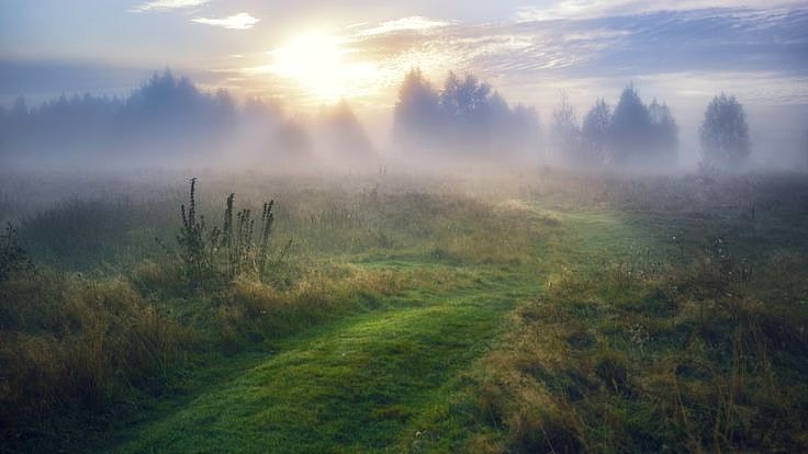 Туманы,туманы верните мне маму