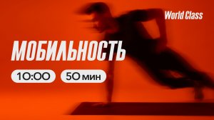 МОБИЛЬНОСТЬ с Дарьей Уткиной | 3 мая 2026 | Онлайн-тренировки World Class