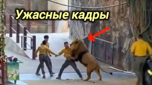 01-05-2026. ЧП❗КАТАКЛИЗМЫ❗КАТАСТРОФЫ‼️ ПРОИСШЕСТВИЯ ЗА ДЕНЬ. новости дня. СЕГОДНЯ