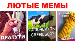 Лютые мемы. Бабушка Таноса
