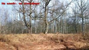 Ловлю на староречье. Рыбалка на Джиг и Спиннинг. Удачная рыбалка