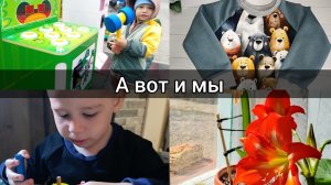 Всего по немногу
