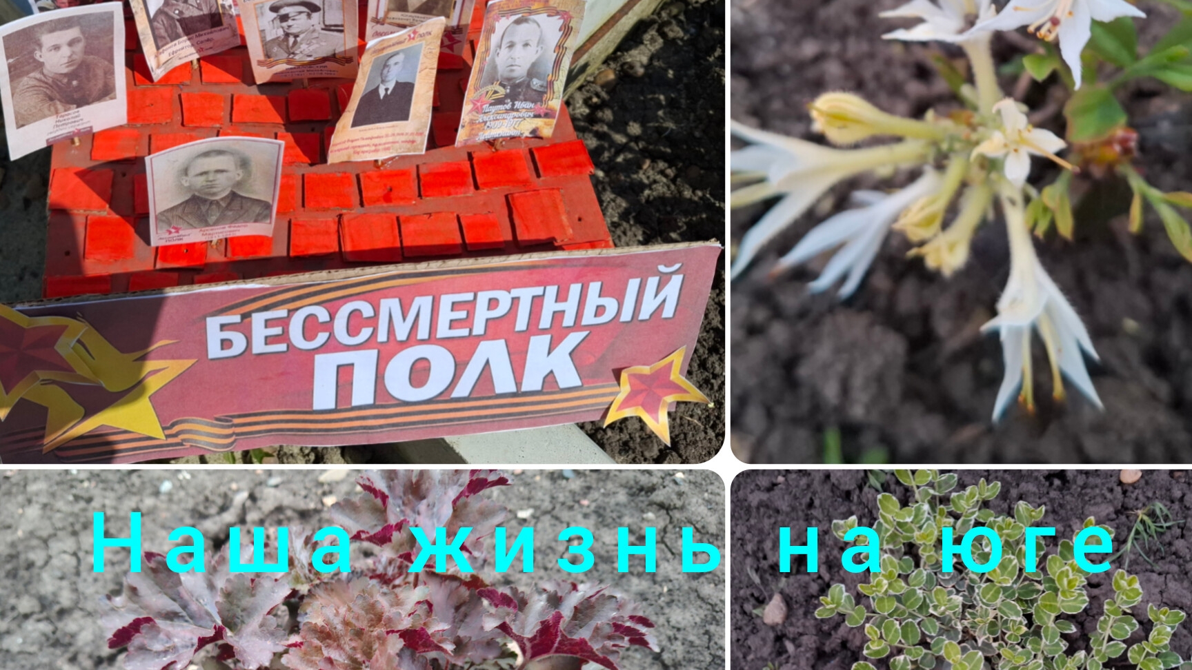 Живём и работаем на Кубани/ Несколько дней из нашей жизни/ Поделка дочки/ Покупки/Гороховый суп/