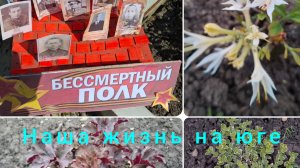 Живём и работаем на Кубани/ Несколько дней из нашей жизни/ Поделка дочки/ Покупки/Гороховый суп/