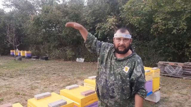 Подготовка Пчёл в Зиму!!! Закорм!!! смотреть онлайн
