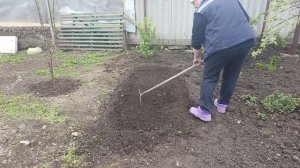 Настоящий день трудящихся/сеем морковь, свеклу, горох/ жарим шашлык